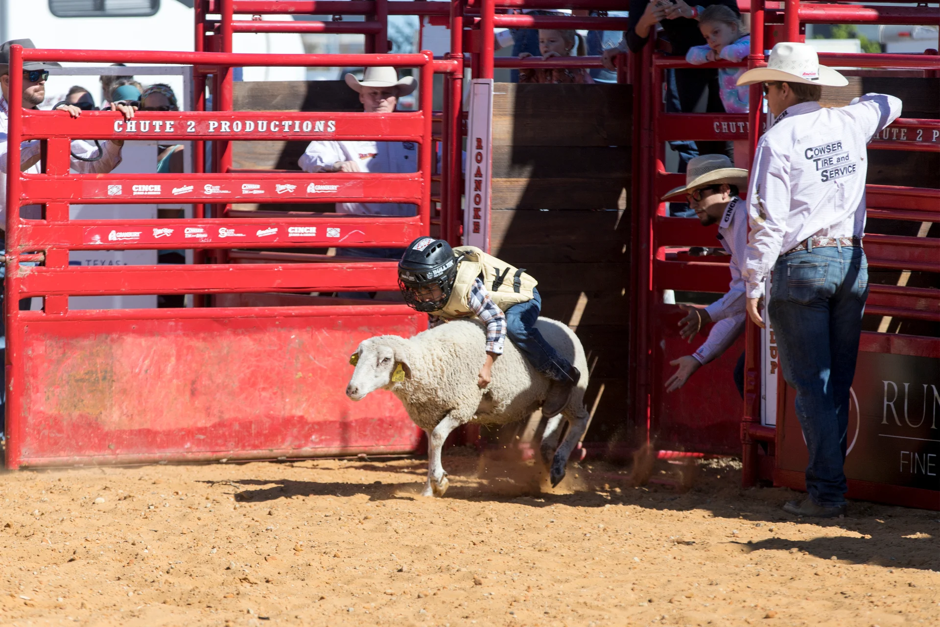 A kid holds on tight as the sheep breaks into a run