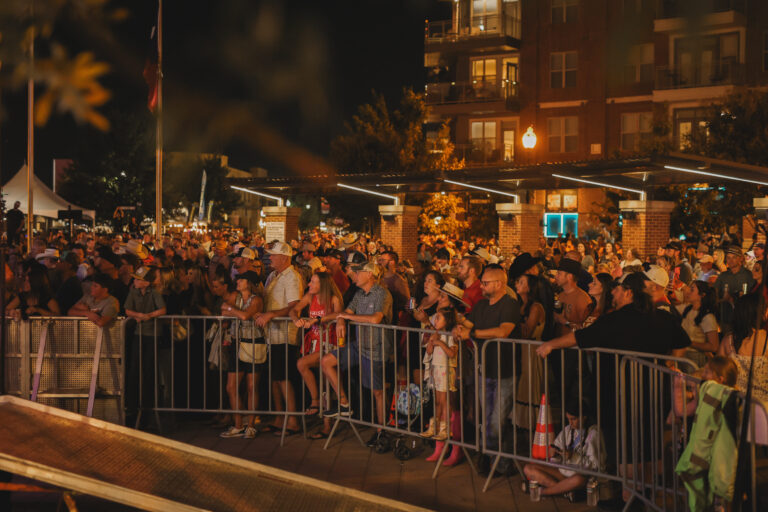 A crowd watching a show